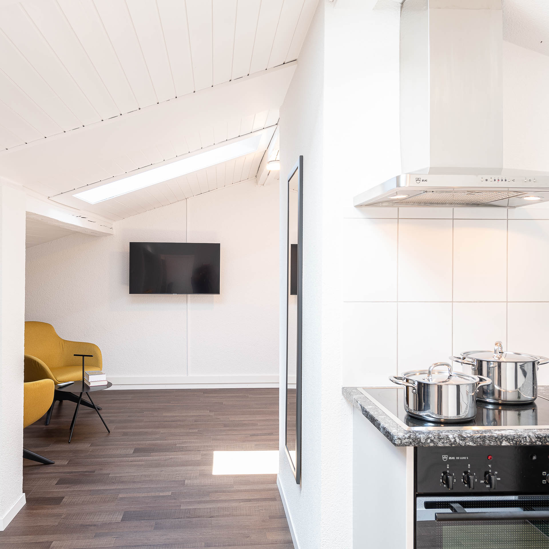 Attic apartment with kitchen